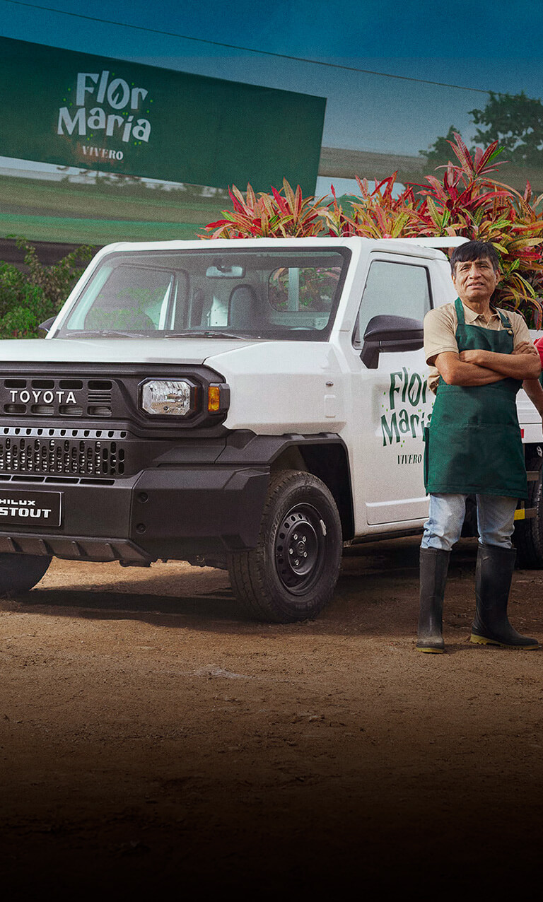 Hilux stout